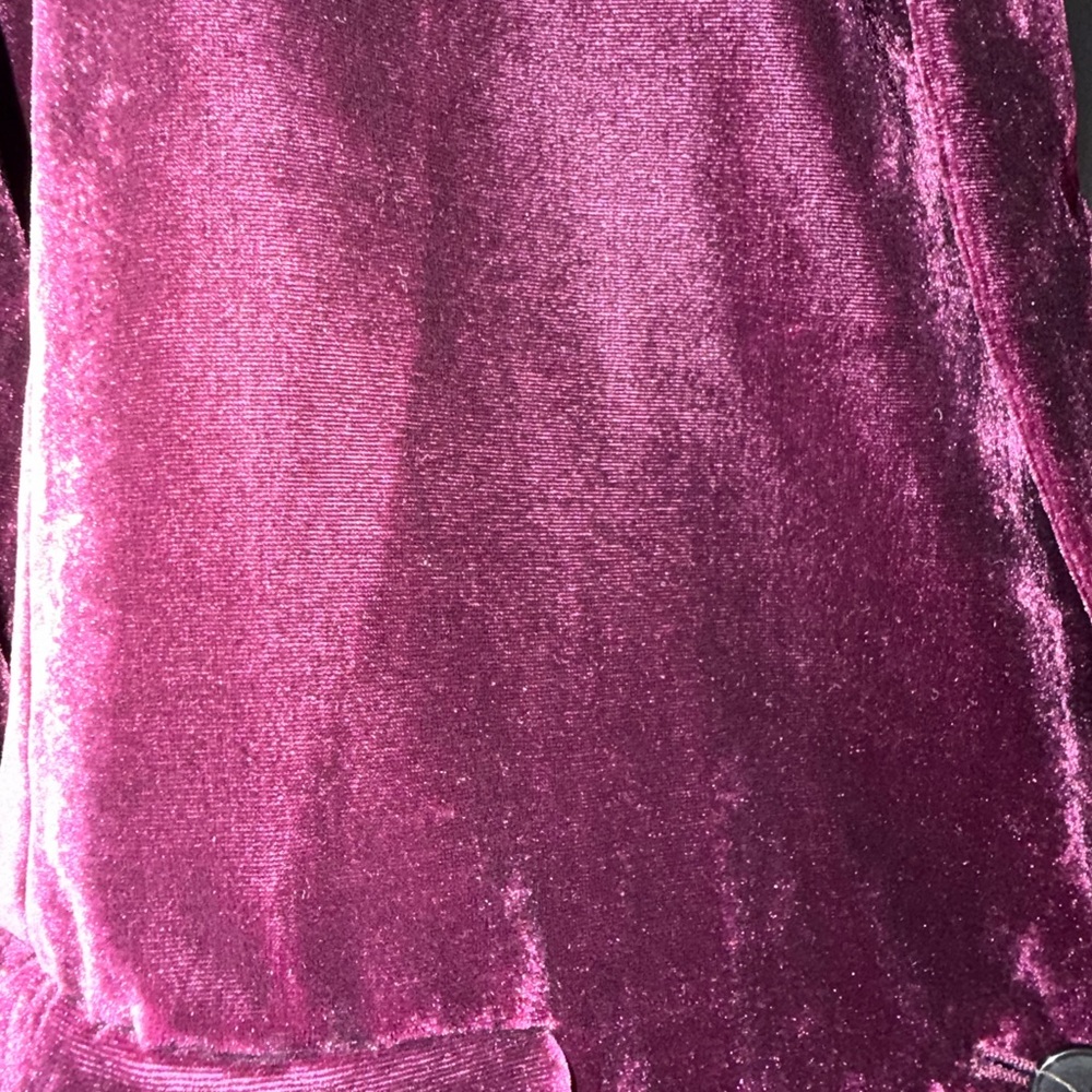 Banana Republic Velvet Blazer in Deep Plum - Picture 5 of 6